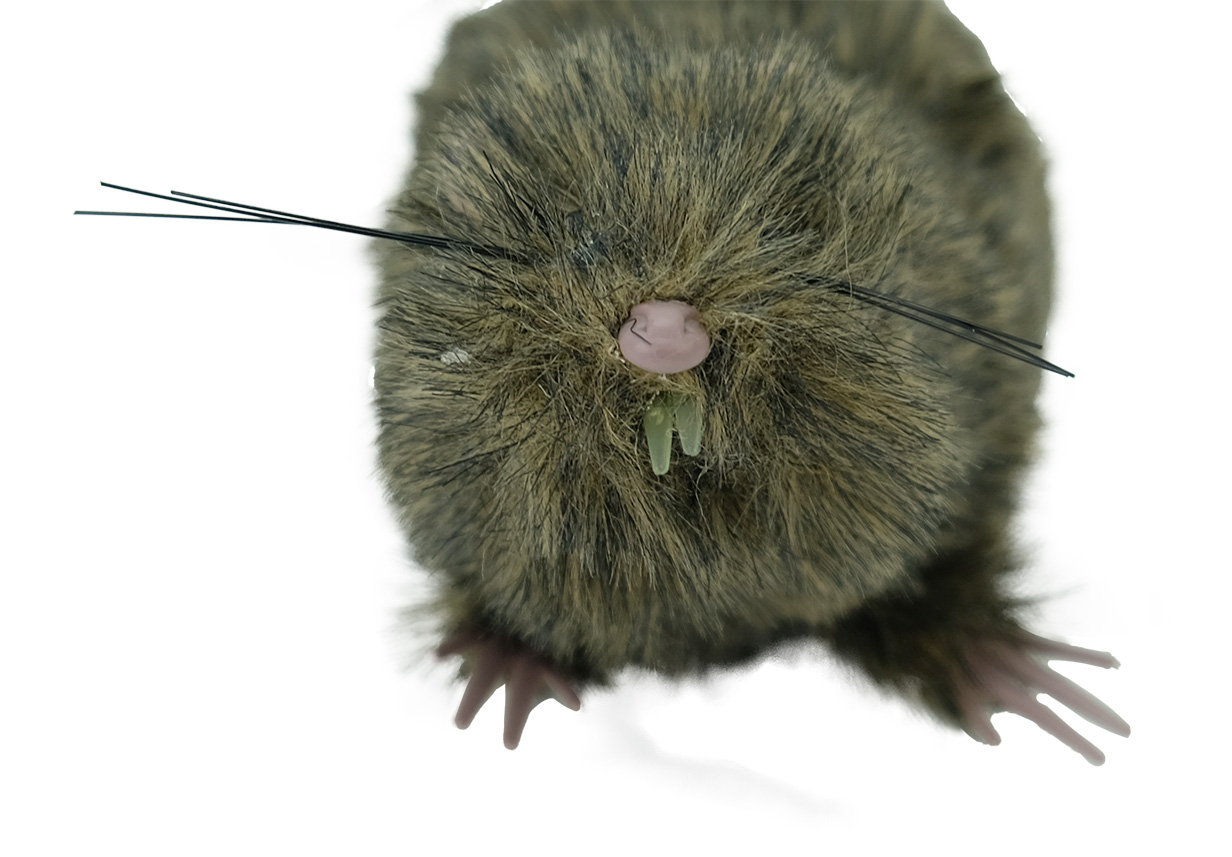 Halloween Dekoration "Ratte mit Fell", 20 cm