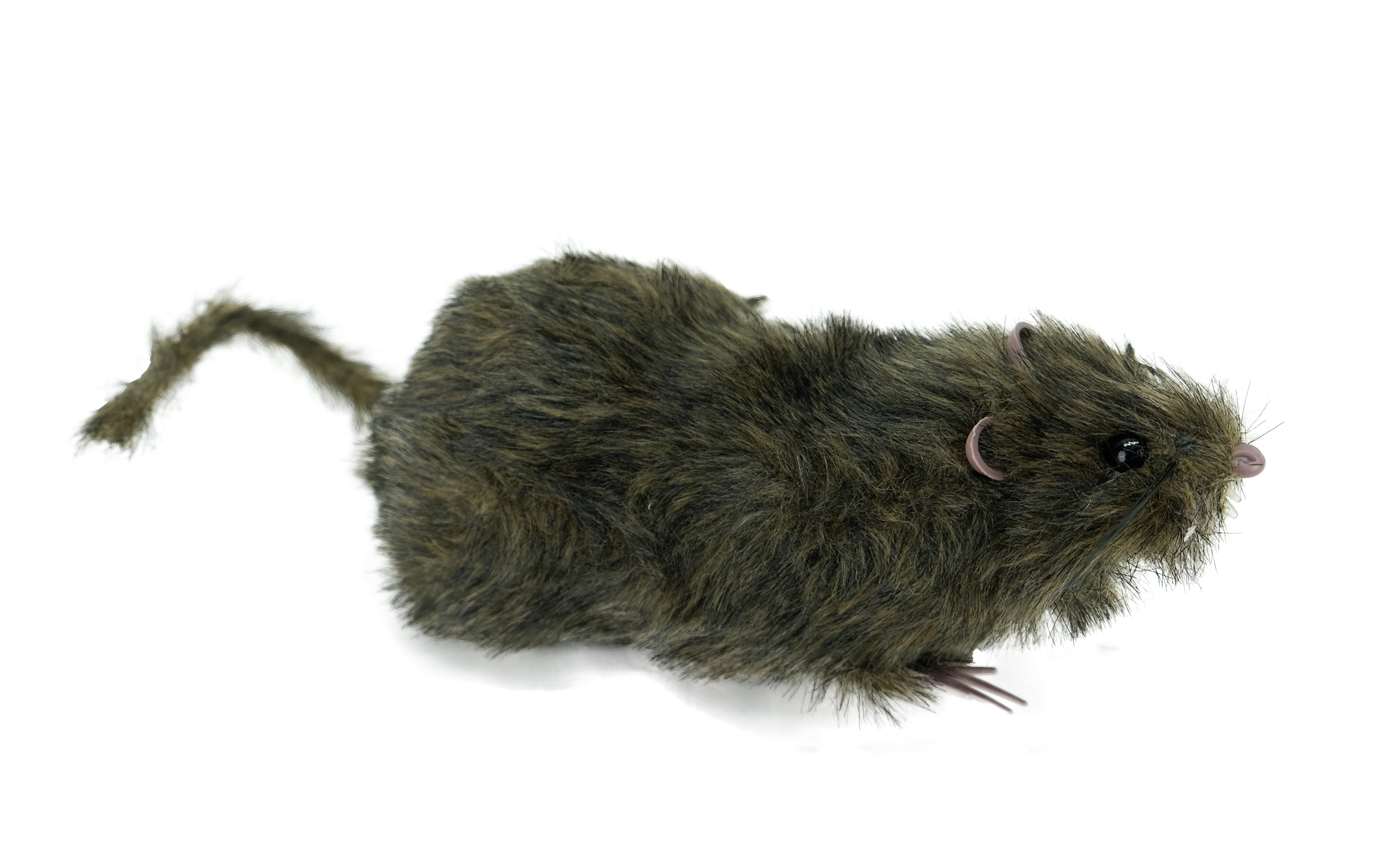 Halloween Dekoration "Ratte mit Fell", 20 cm