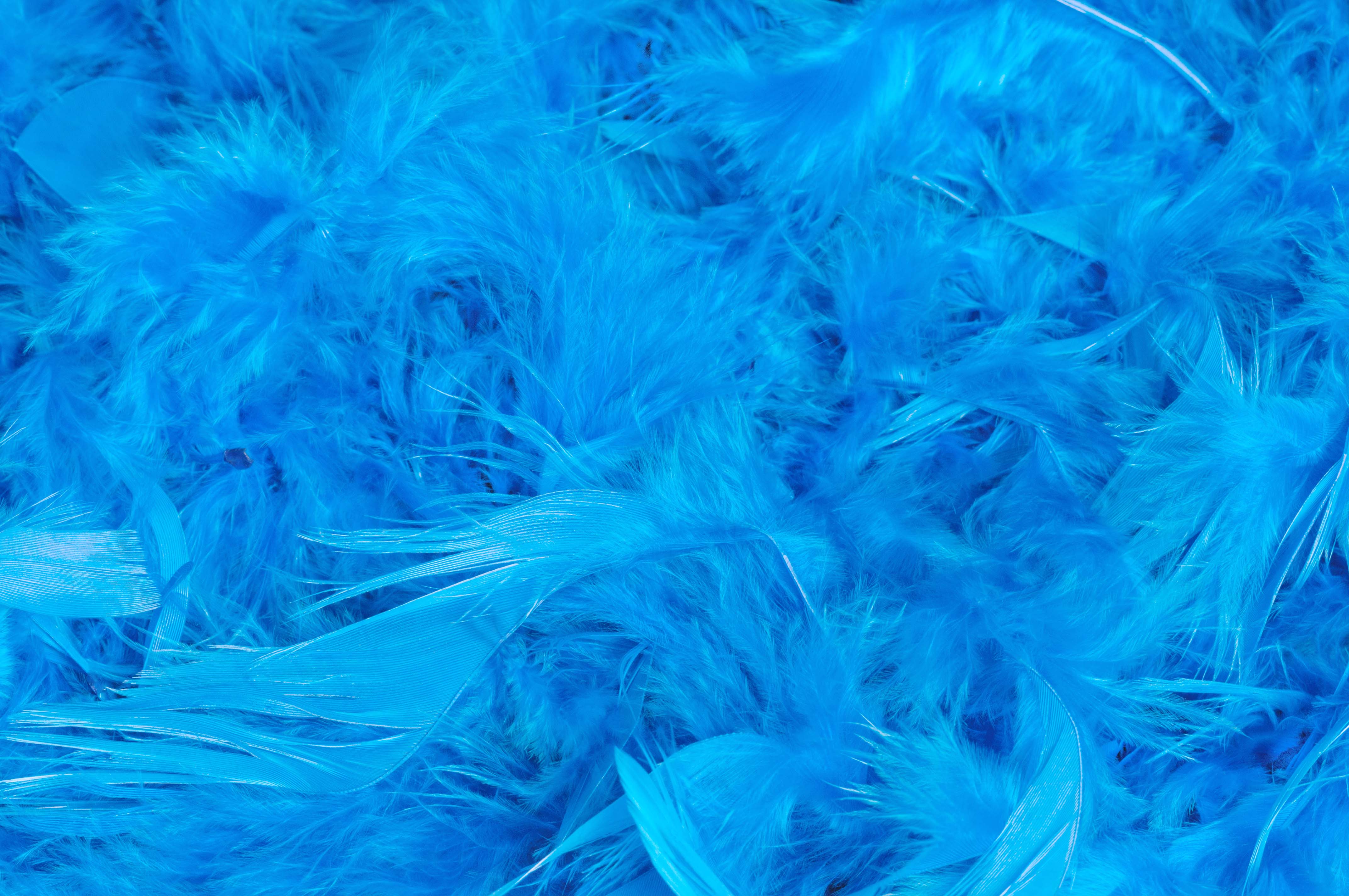 Federboa Unifarben - in vielen Farben lieferbar