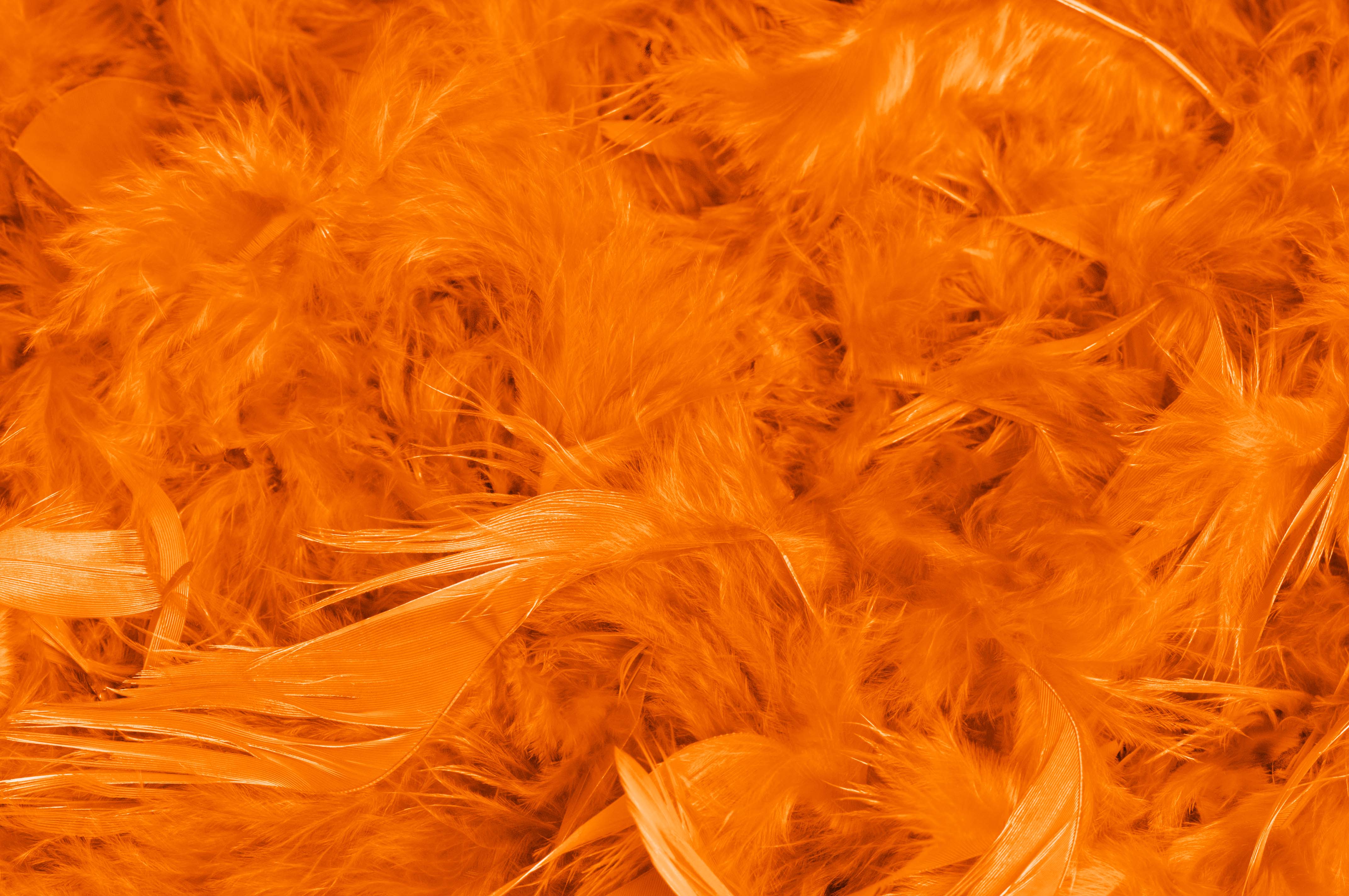 Federboa Unifarben - in vielen Farben lieferbar